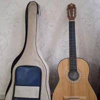 گیتار ایرانی به همراه کیف