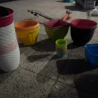 تعدادی گلدان
