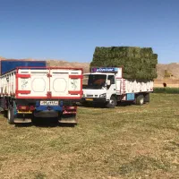 یونجه