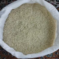 برنج هاشمی