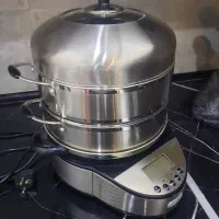 بخارپز برقی گاسونیک، تمام استیل