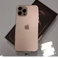 12پورو مکس