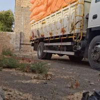 کاه درجه یک ، یونجه ، سفال گندم ،جو