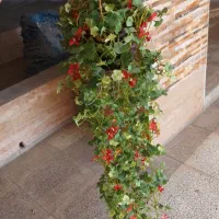 وسایل فروشی فوری