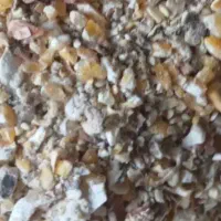 ذرت ۳/۴ تکه شده ۲۵تن