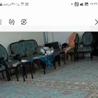 فرش|فرش|ساری, |دیوار
