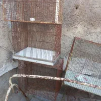 فروش قفس