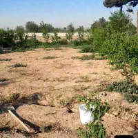 باغچه|فروش زمین و ملک کلنگی|قلعه نو, |دیوار