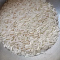 فروش مواد غذایی