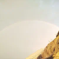 فروش  گسفند