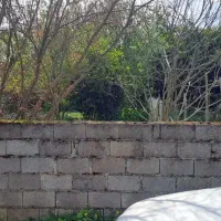 300متر زمین مسکونی انزلی
