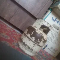 پیک نیک