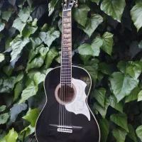 گیتار آریا AK20 پیکاپدار