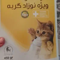 غذا و خاک گربه نوزاد