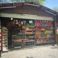 نیروی ساده