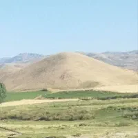 سرکارگری کارهای کشاورزی
