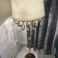 اباژور کنار سالونی