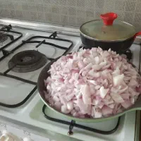 گاز سینجر فر دار ۵ شعله