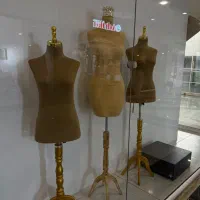 مانکن