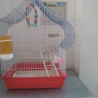 قفس عروس هلندی همراه تجهیزات