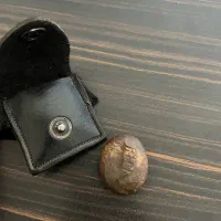 مهره اصل(هبهاب) بشرط کارشناسی
