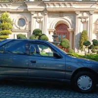 پژو 405 جی ال ایکس بی رنگ مدل 95