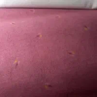 خریده موکت دست دوم