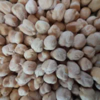 نخود تازه واسه امسال