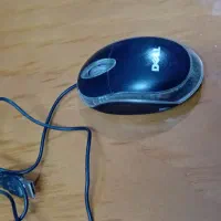 موس دل (باسیم)