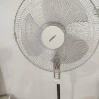 پنکه ایستاده