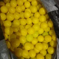 تولیدی توپ استخری و توپ فوتبالی پلاستیک