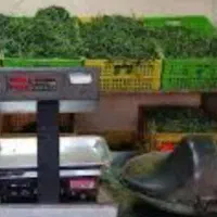 فروش لوازم سبزی خردکنی