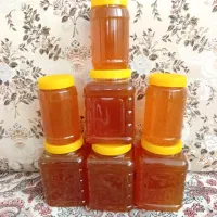عکس طبیعی گون