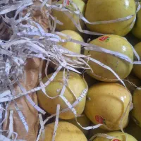 سیب زرد وقرمز