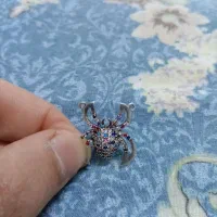 پلاک نقره عنکبوت