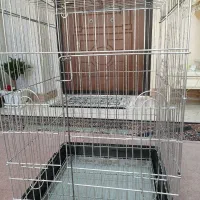قفس با وسایل آماده
