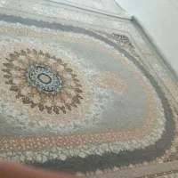دوعددفرش 12متری 700شانه