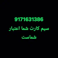 9171631386