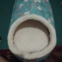 جای خواب گربه