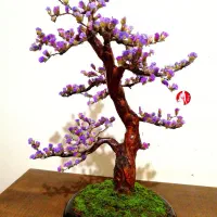 گل و درختچه بنسای دکوری خاص