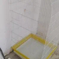قفس بزرگ و کوچک