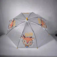 چتر فانتزی شفاف و مات