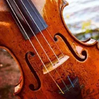 آموزش اصولی و حرفه ای ساز های ویولن و نی