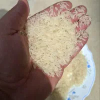 انواع برنج در تناژ