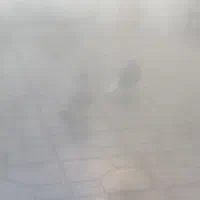 کبوتر