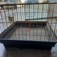 قفس خرگوش وپرنده