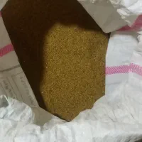 بذر یونجه
