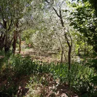 باغ ویلای