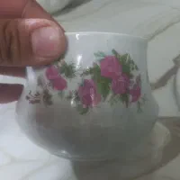 گل سرخی|ظروف سرو و پذیرایی|بیرجند, |دیوار