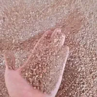 هسته‌خرما